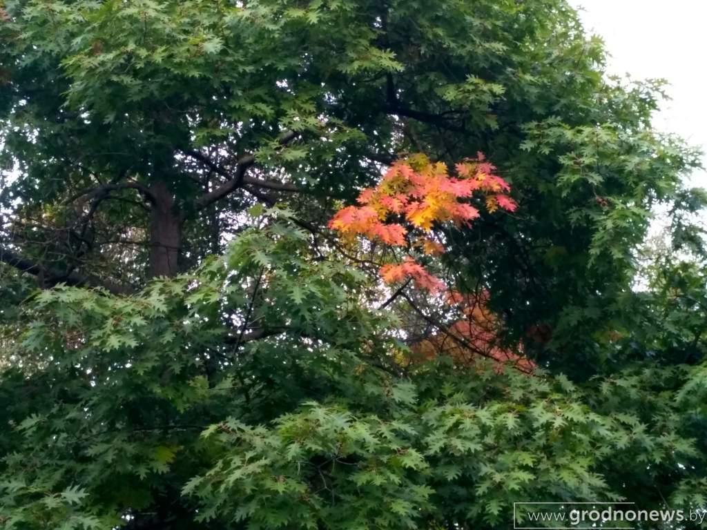 IMG_20200923_190714_HDR.jpg