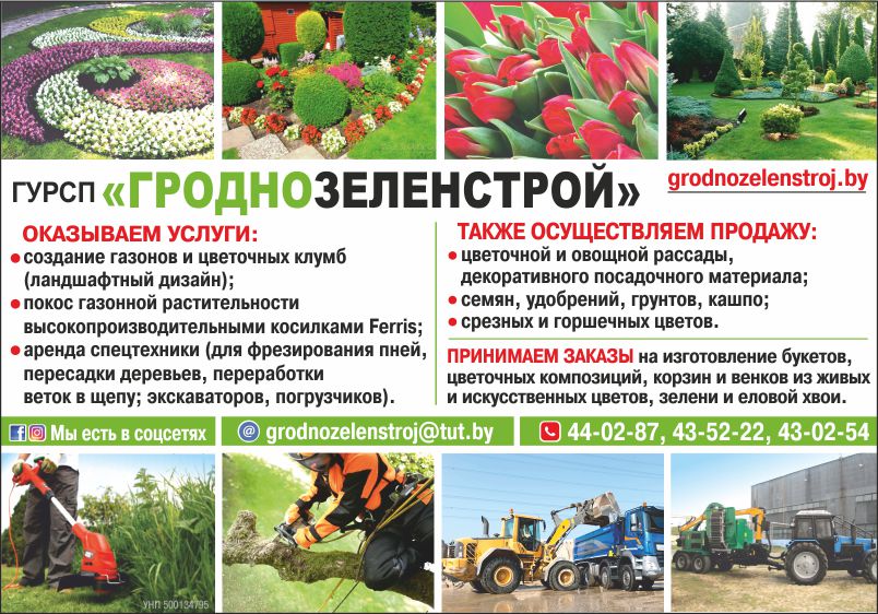 Зеленстрой_В_Внутрь.jpg