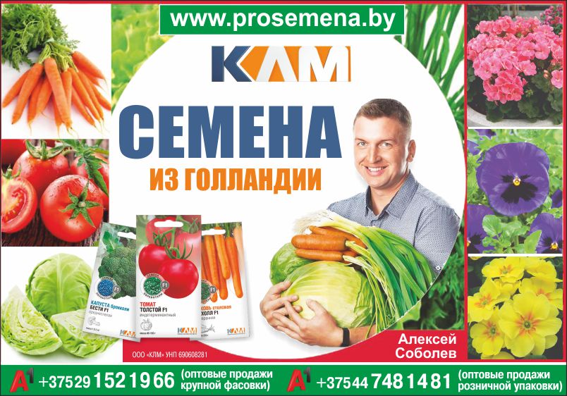 Соболев_Семена_Внутрь.jpg