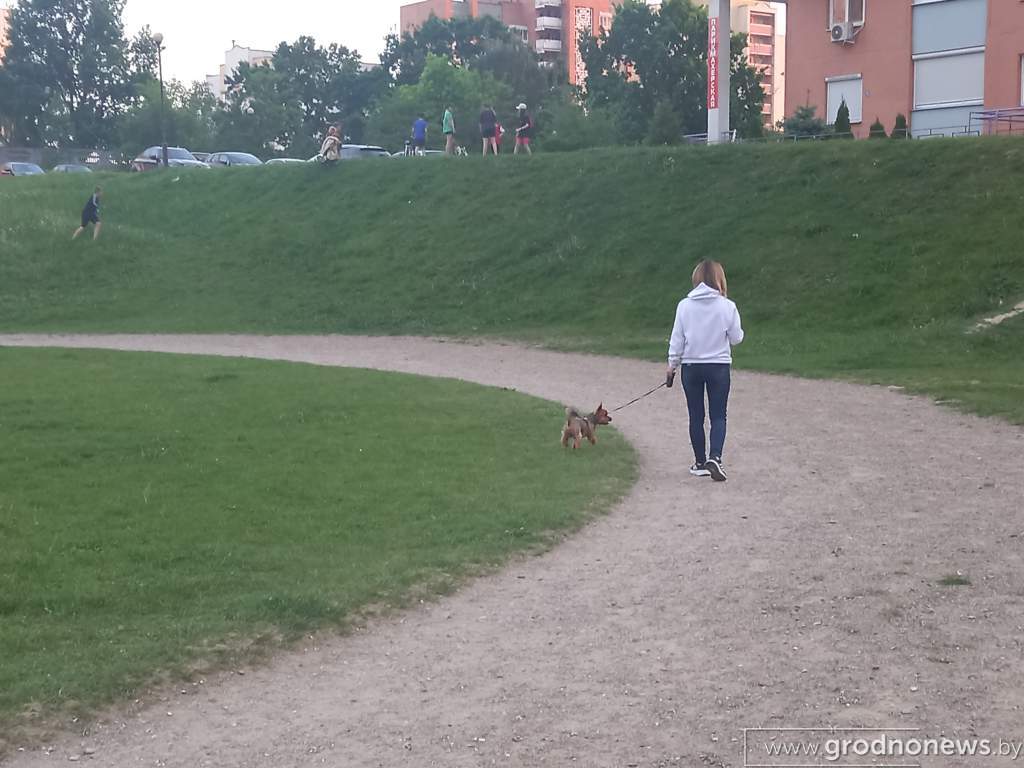 20230524_210130.jpg
