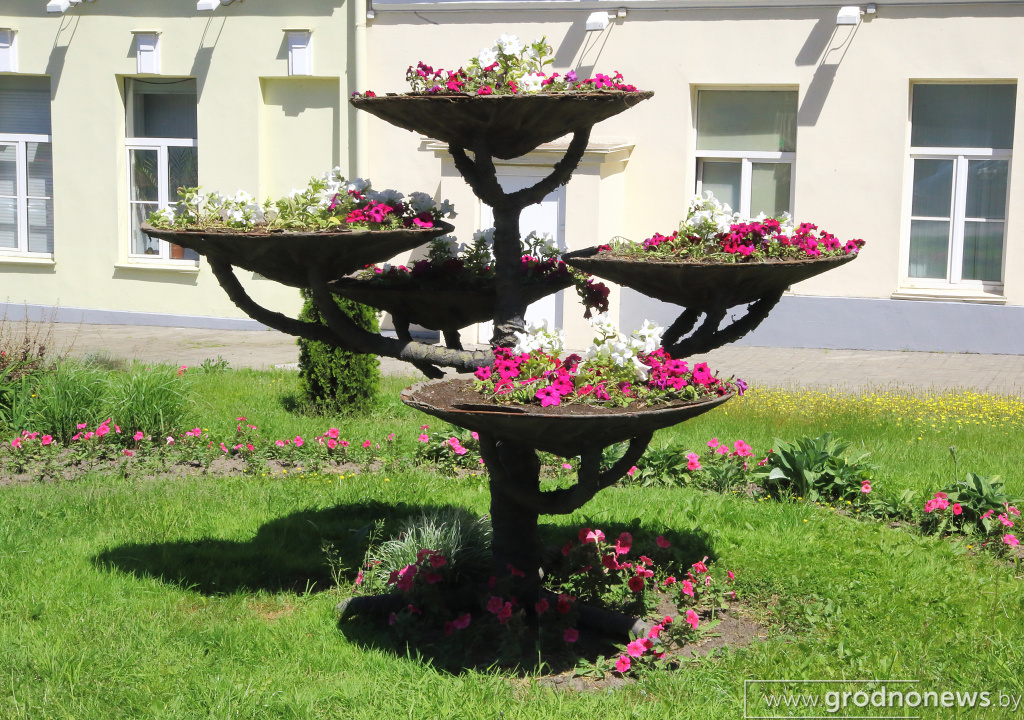 DPP_40219.JPG
