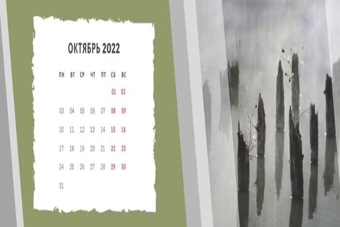 11й ок.PNG