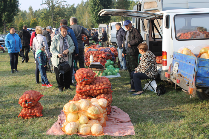 Мосты 8.jpg