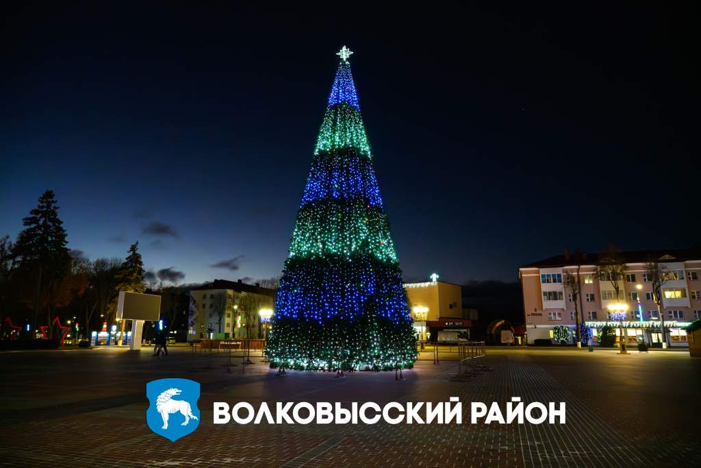 Елка ночь.jpg