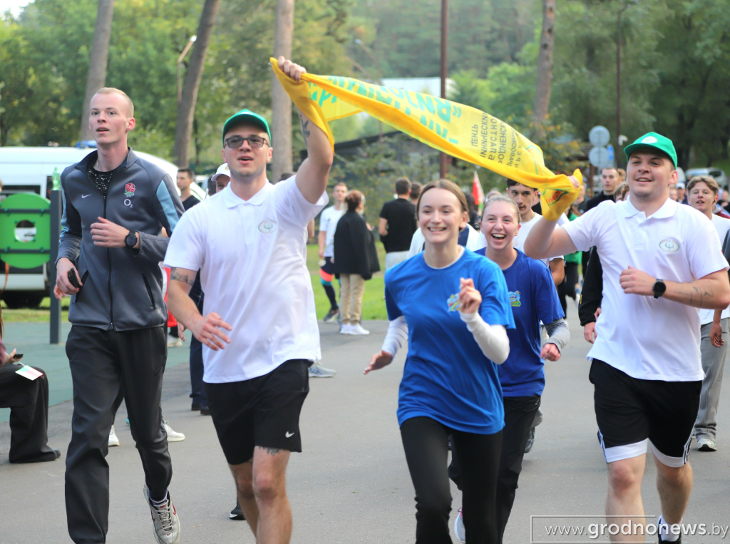 Без названия (1).png