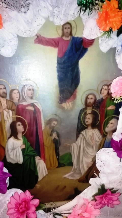 боровики_икона (1) поставить.jpg