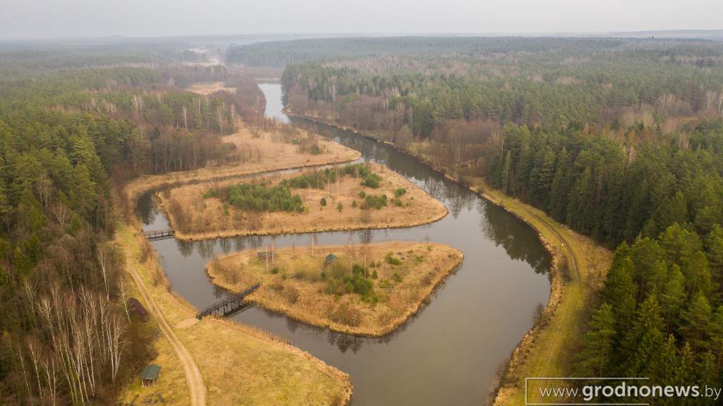 20200307-DJI_0214.jpg