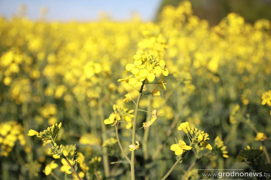 photo_2024-05-01_18-13-34 (2).jpg