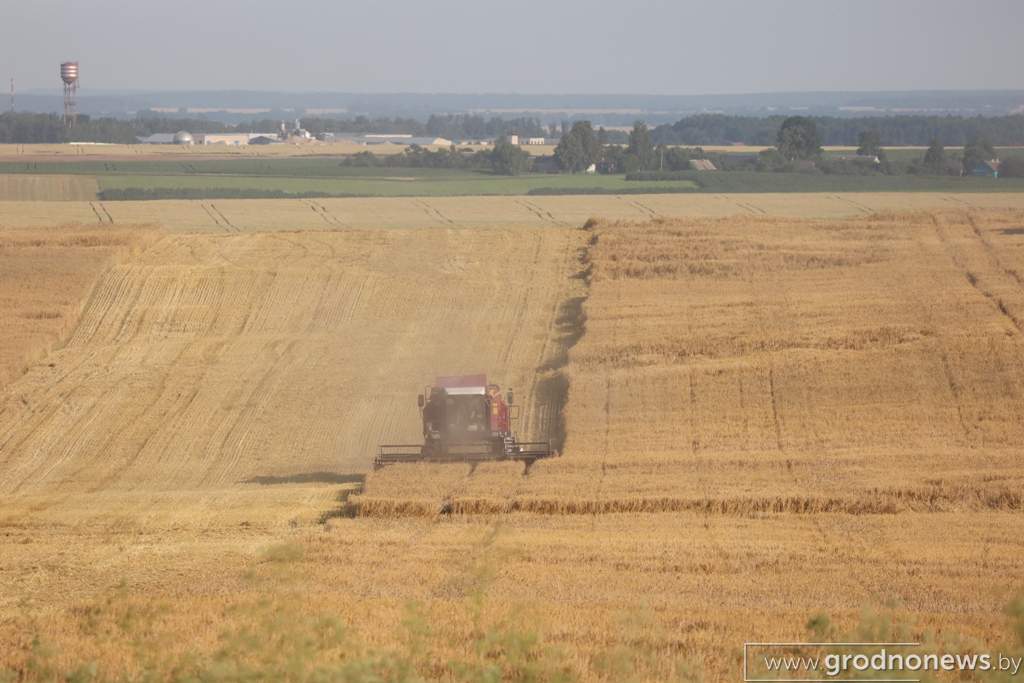 2021-07-08 19.02.31.JPG