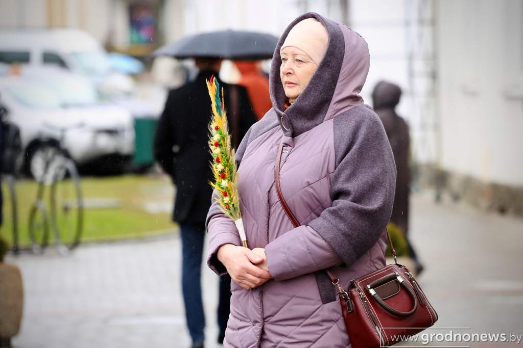 Файл_004.jpeg