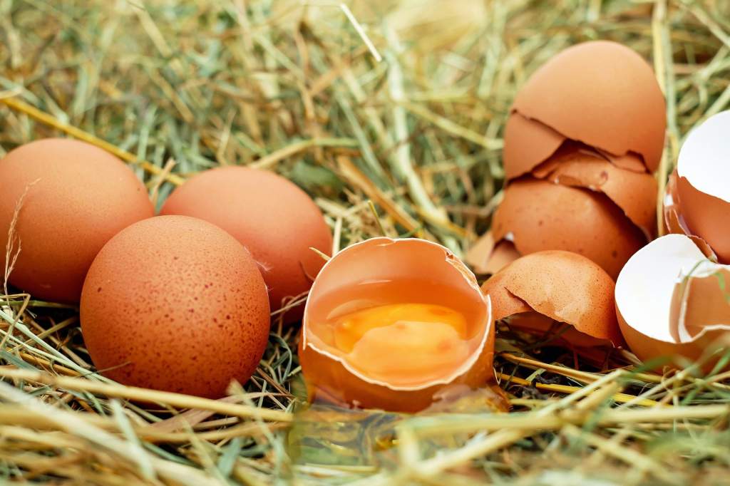 eggs-1510449_1920.jpg