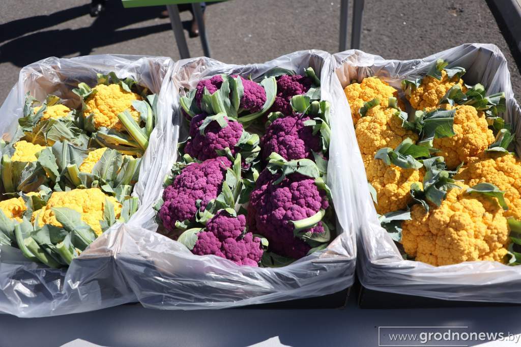 2022-08-04 11.50.53.JPG