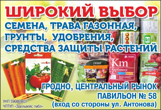 Эдельвейс_Семена_Внутрь.jpg