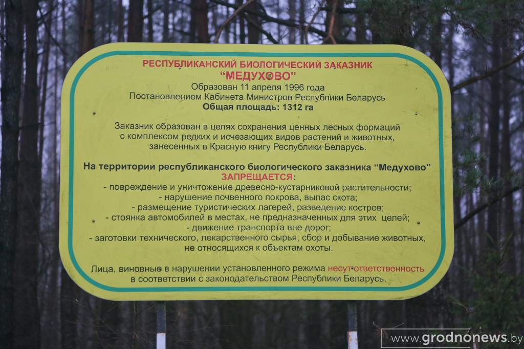 0W1A4247.jpg