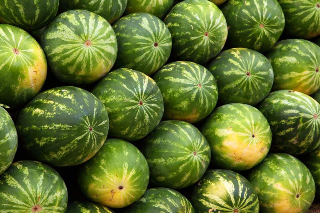 watermelon-2636_1280.jpg