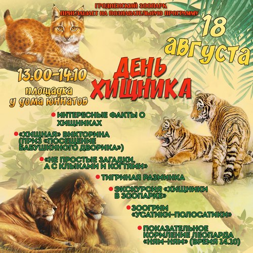 zoo_tiger_anons_1.jpg
