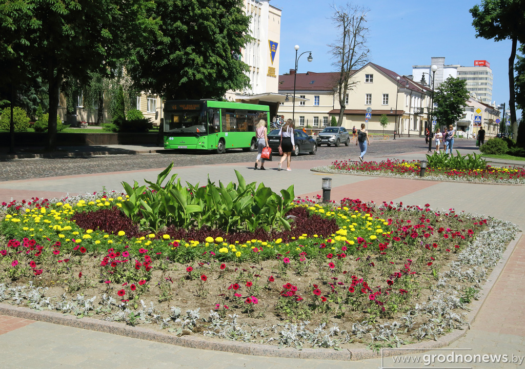 DPP_40221.JPG
