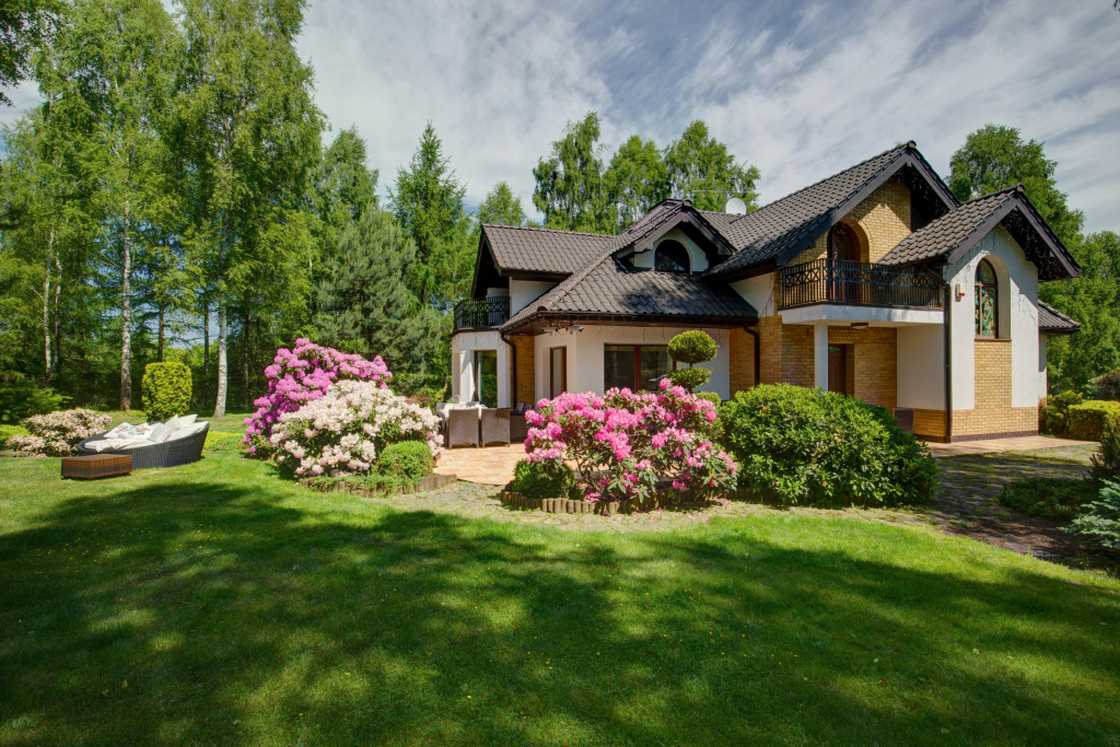 dacha.jpg