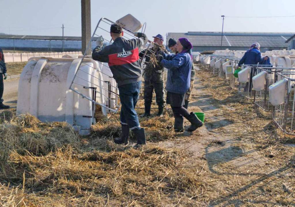 уборка в схп.jpg