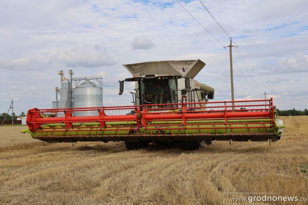 photo_2025-08-05_20-04-14 (10).jpg
