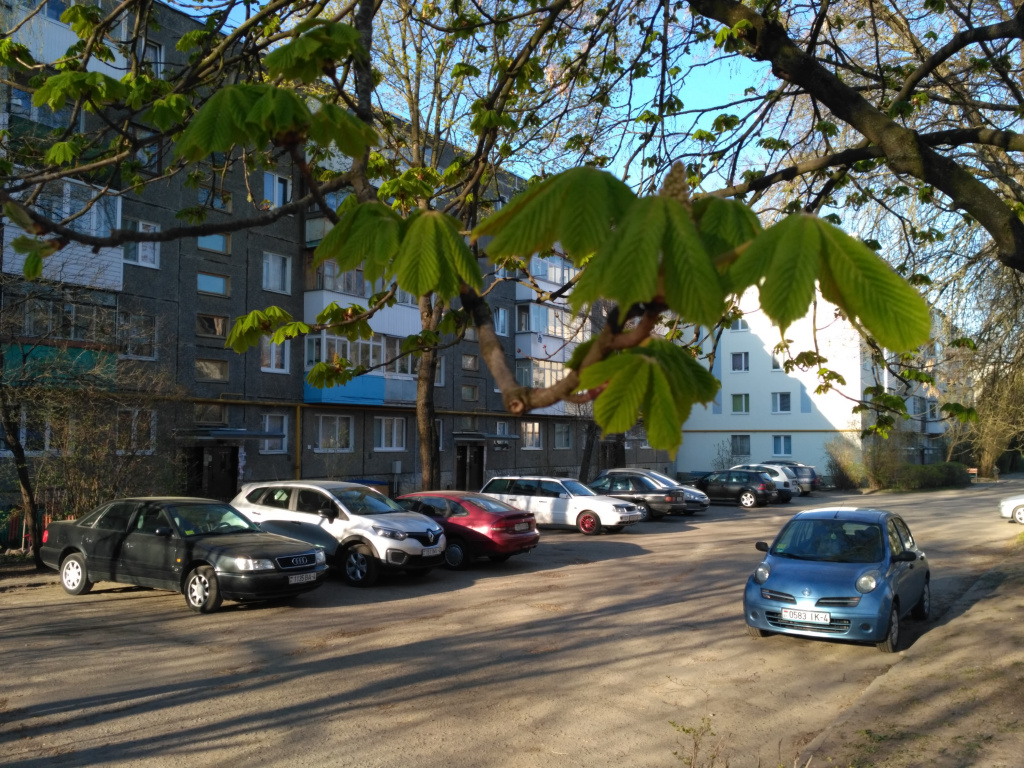 IMG_20190419_080500.jpg
