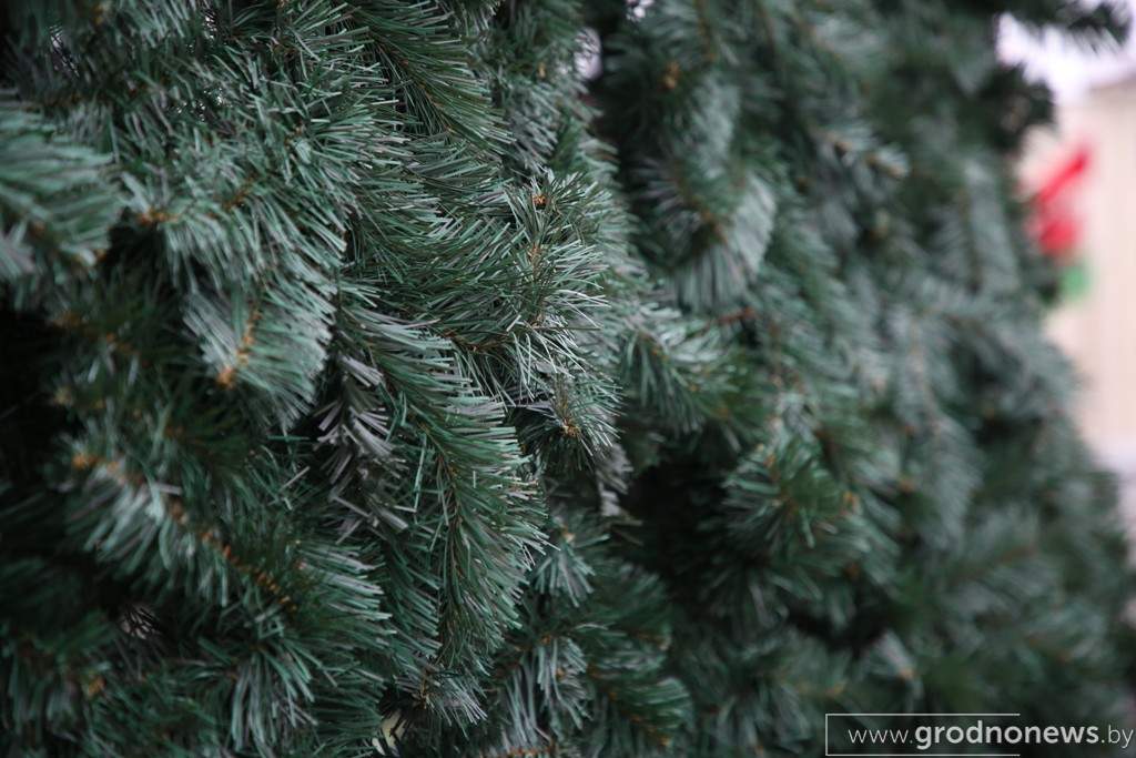 2020-11-25 12.07.37.JPG