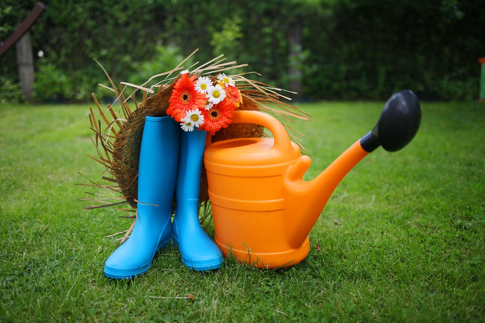garden-3276321_960_720.jpg