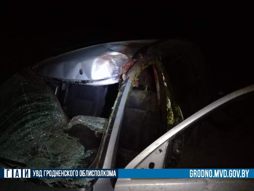 ga6wX1IZHA4.jpg