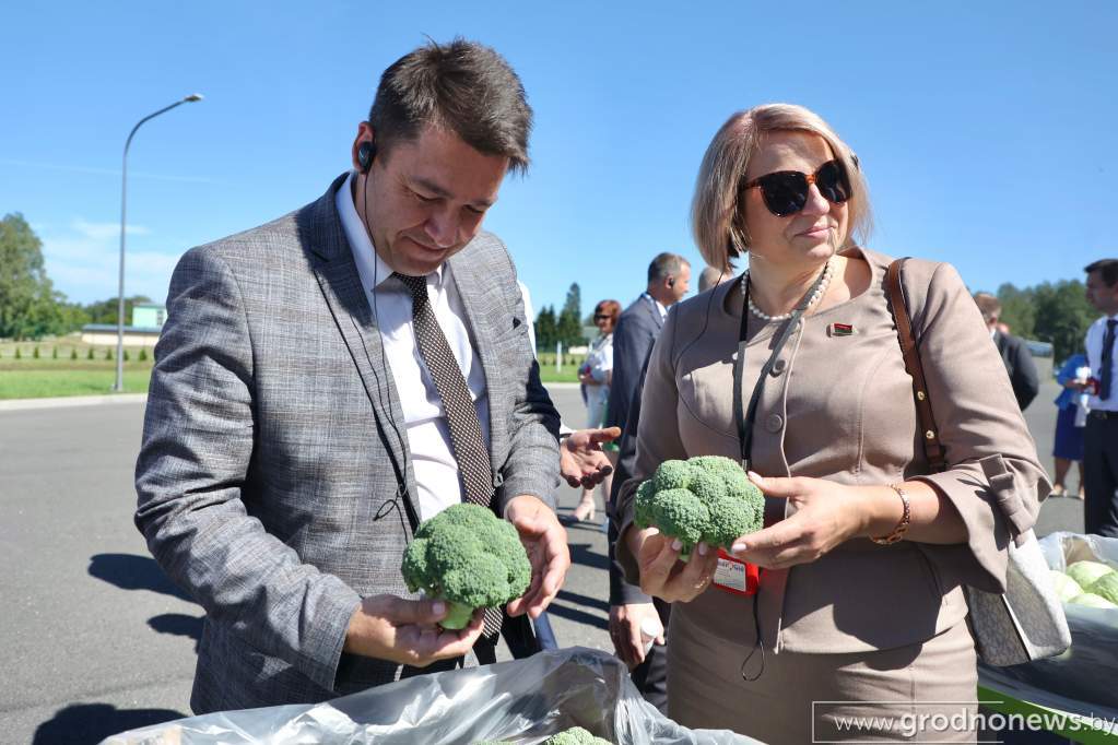 2022-08-04 11.50.37.JPG