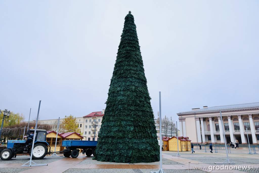 D8A698B7-4B02-4748-8045-1D05FFEA0B61.jpeg