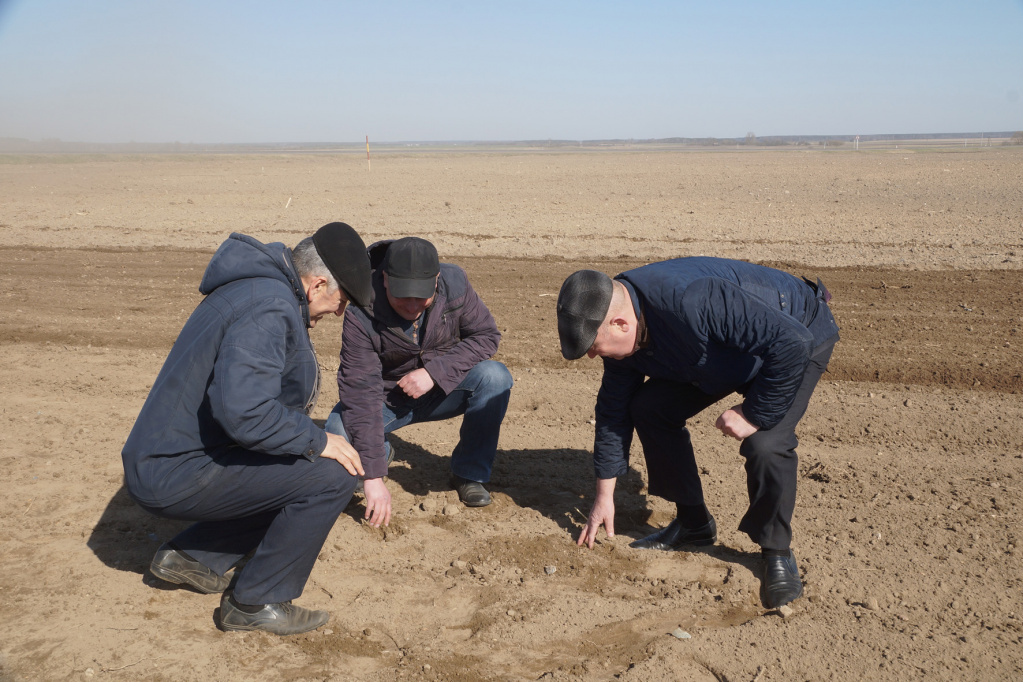 DSC09998_начальство в поле))).jpg