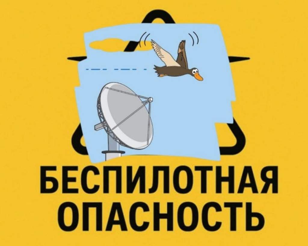 Рисунок1.jpg