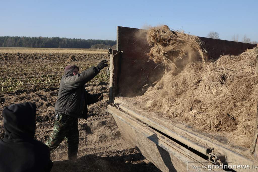 2021-11-01 12.15.04(1).JPG