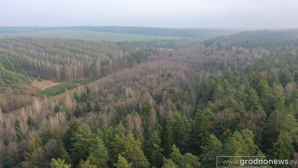 DJI_0384.JPG