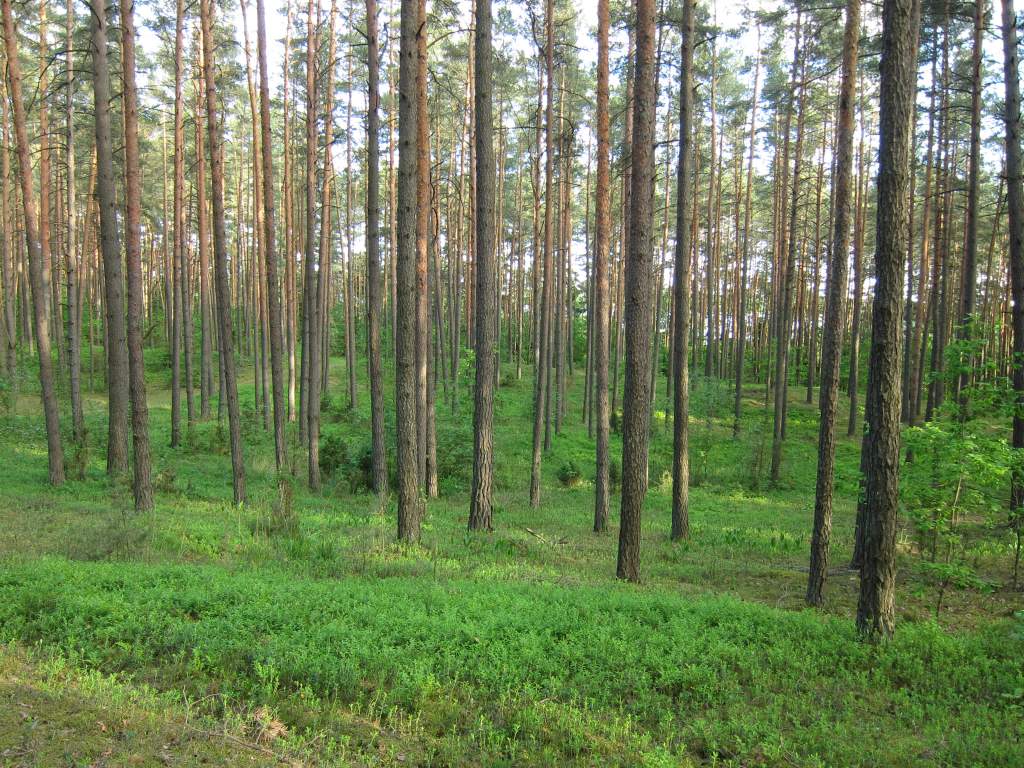 IMG_1354.JPG