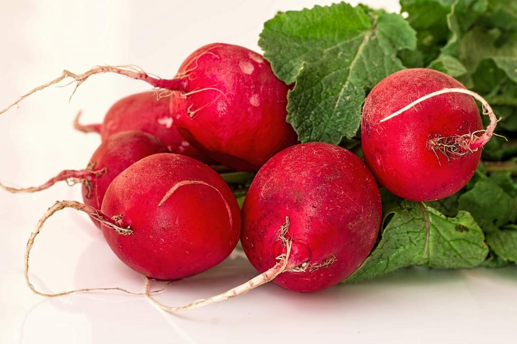 radish-1537141_1920.jpg