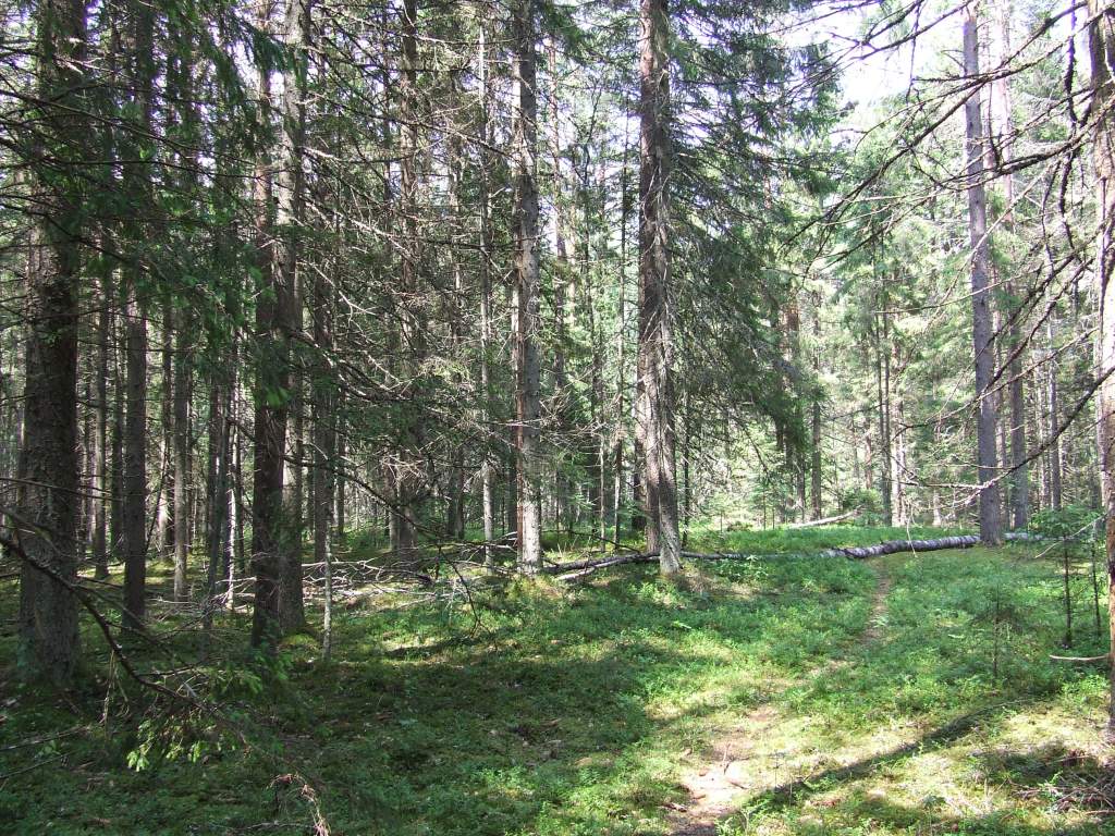 DSCF3058.JPG