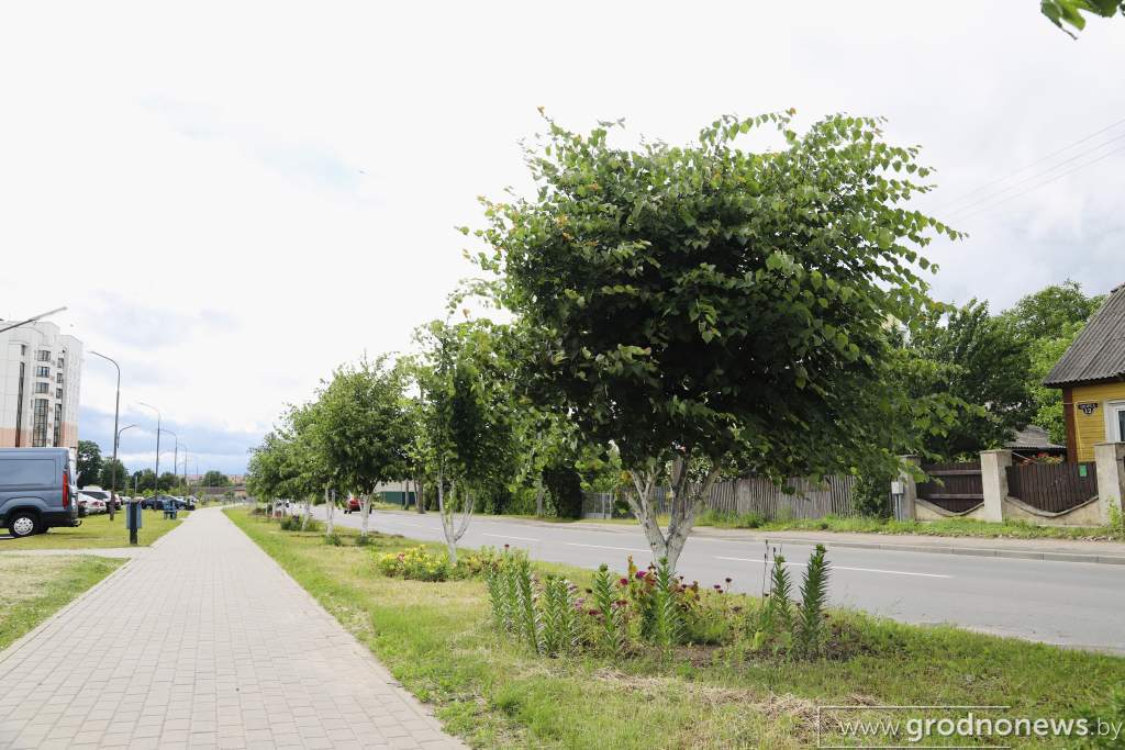 история гродненской Пролетарки