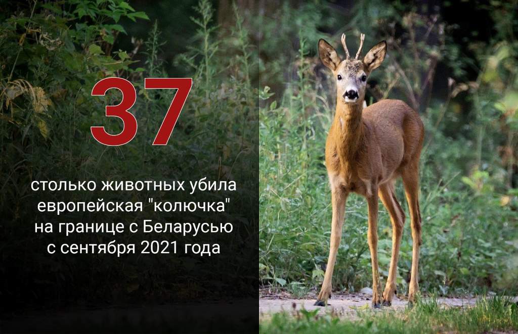 f2sscqoo9wcqw7tkn1kyakms9nk47ue5.jpg