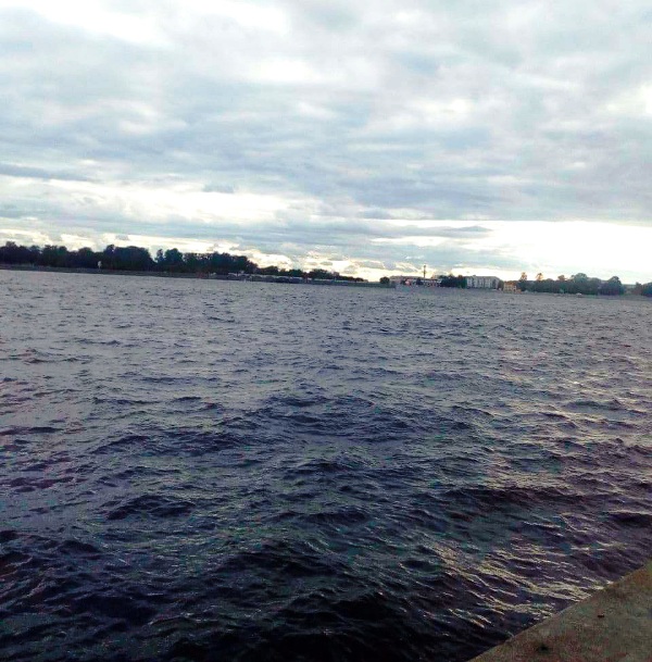 photo_2021-02-02_14-48-12.jpg