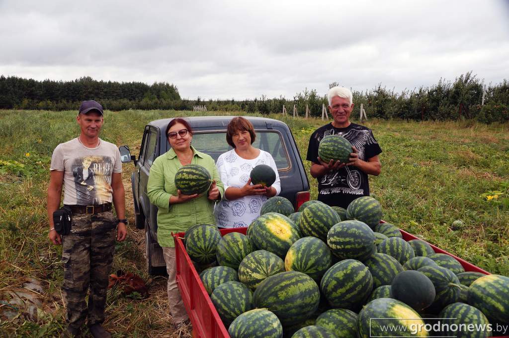 15_мы в поле.JPG