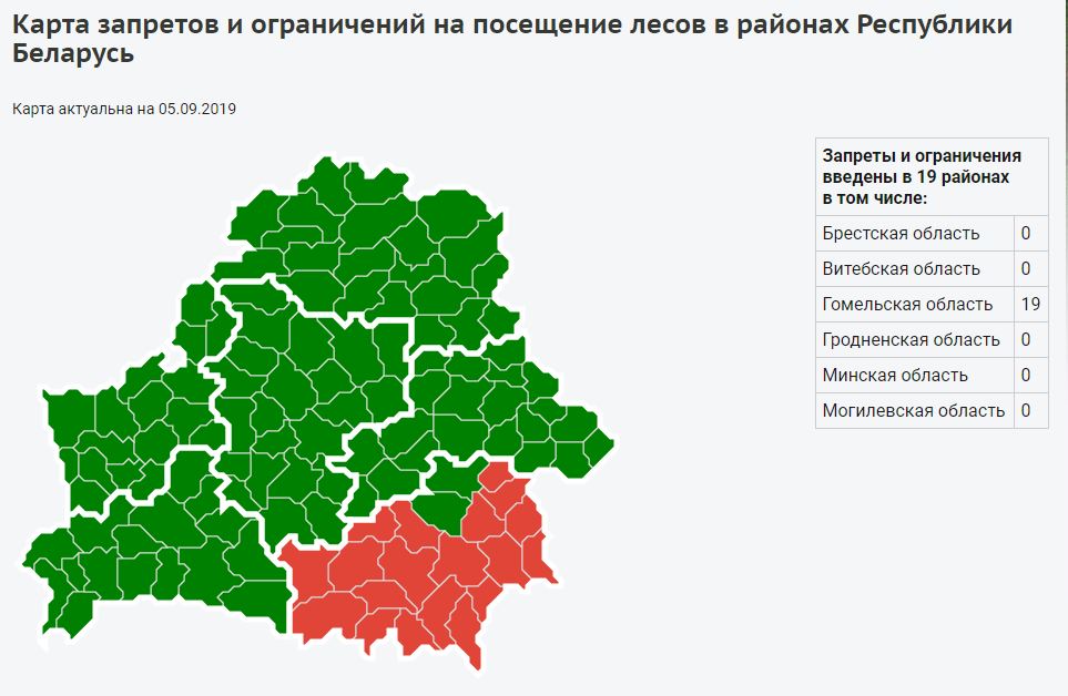 лес.JPG