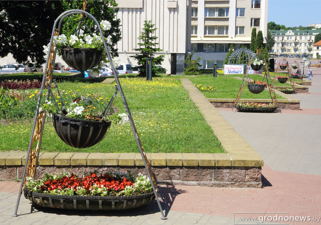DPP_40218.JPG