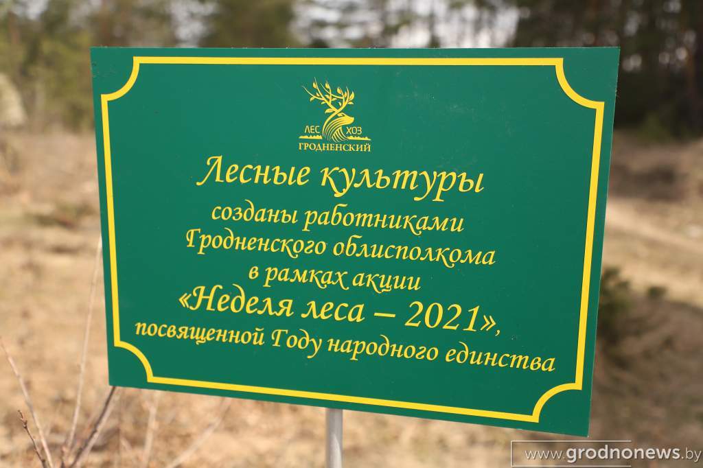 IMG_6621.JPG