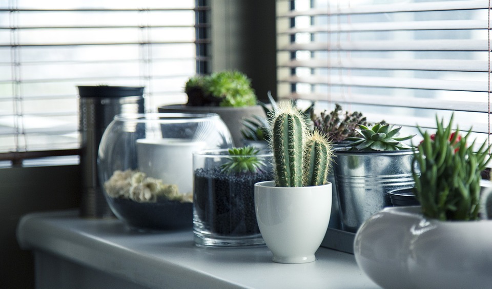 pots-716579_960_720.jpg