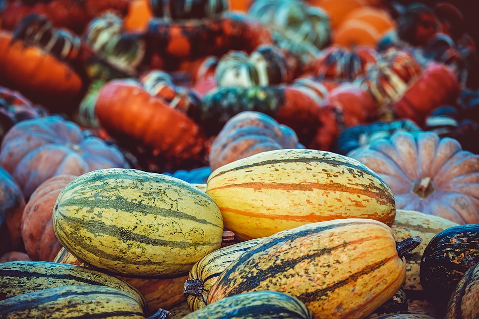pumpkin-3759587_960_720.jpg
