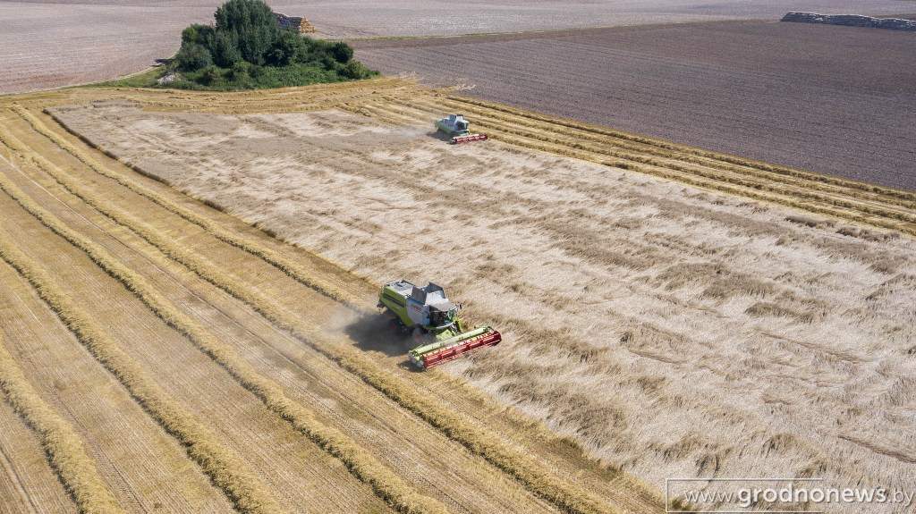 DJI_0351.jpg