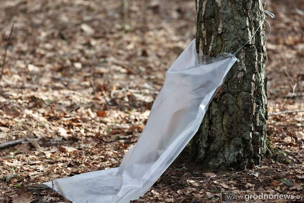 2021-03-29 10.49.03.JPG