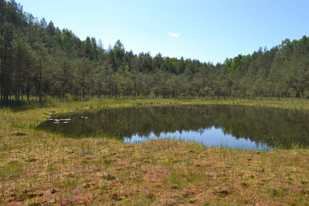 DSC_1724.jpg