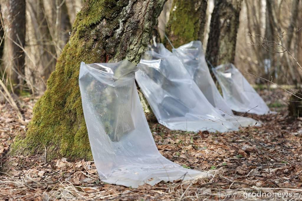 2021-03-29 10.42.14.JPG